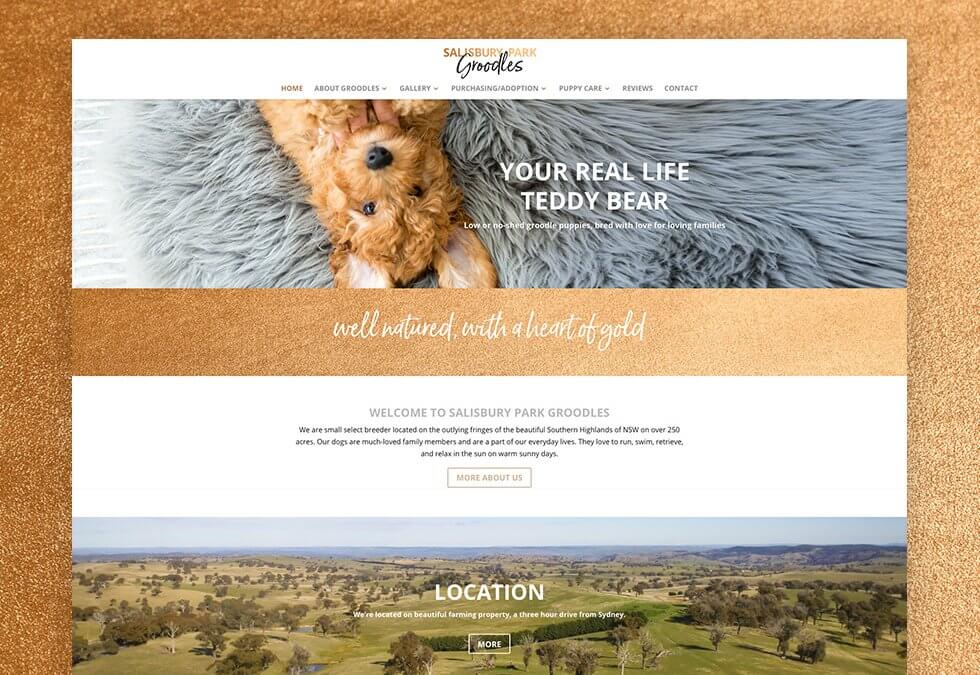 Salisbury Park Groodles